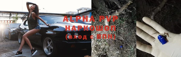 эйфоретик Снежногорск