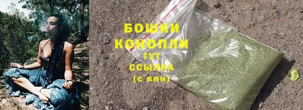 сатива Снежинск