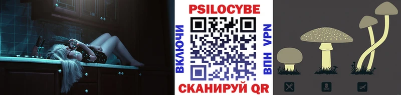 ОМГ ОМГ зеркало где купить Светогорск Псилоцибиновые грибы Psilocybe