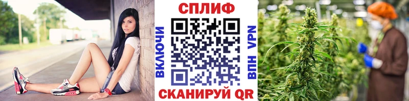 Каннабис SATIVA & INDICA  Светогорск 
